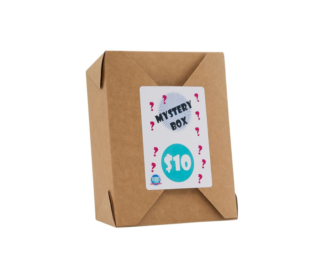 Brown paper box with a 'Mystery Box $10' label on a white background