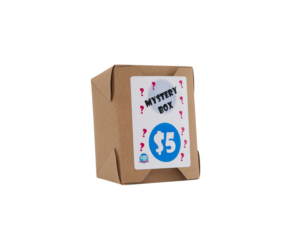 Kraft paper box with a 'Mystery Box $5' card on a white background