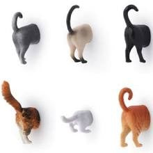 Cat butt magnets